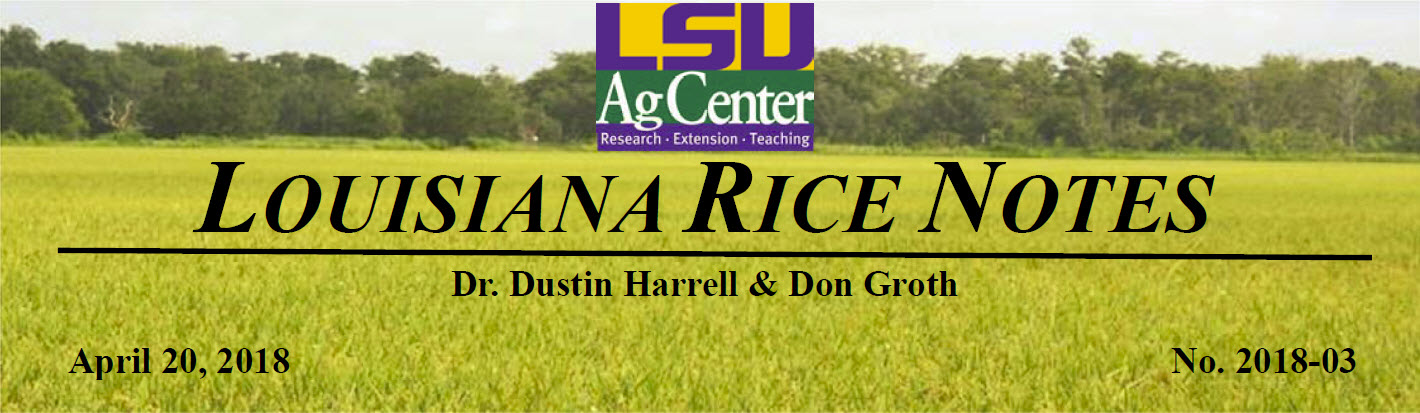 2018 Louisiana Rice Field Notes #3